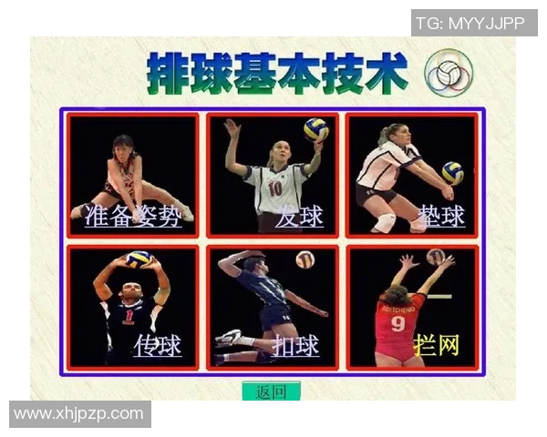 南京排球队与成都排球队赛后分析力量对比与战术总结