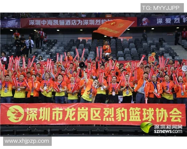 深圳排球队的反击革新之路探索与展望