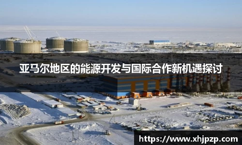 亚马尔地区的能源开发与国际合作新机遇探讨
